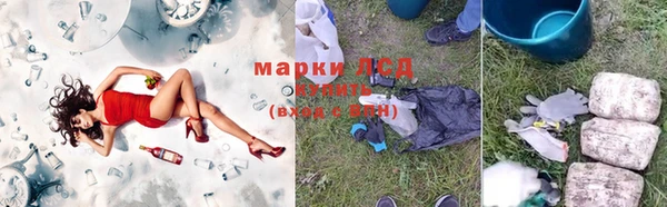 шишки Беломорск