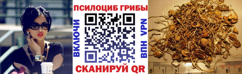 Галлюциногенные грибы Psilocybe  OMG как зайти  Сычёвка  наркошоп 