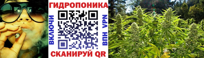 Конопля конопля  ссылка на мегу рабочий сайт  Сычёвка  цена  